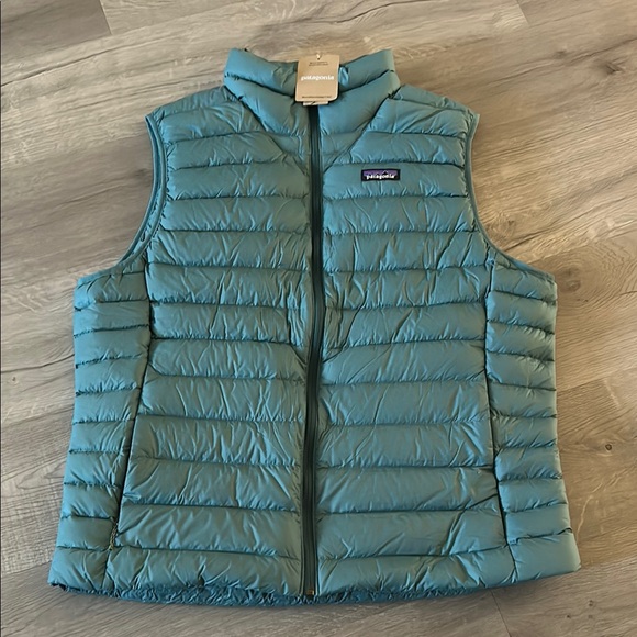 PATAGONIADown Sweater Vest - Men'sWetland Blue